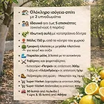The Citrus Yard In Politika, 2 Bedrooms Apartment *