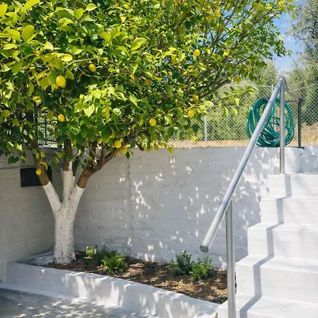 The Citrus Yard In Politika, 2 Bedrooms Apartment Politika