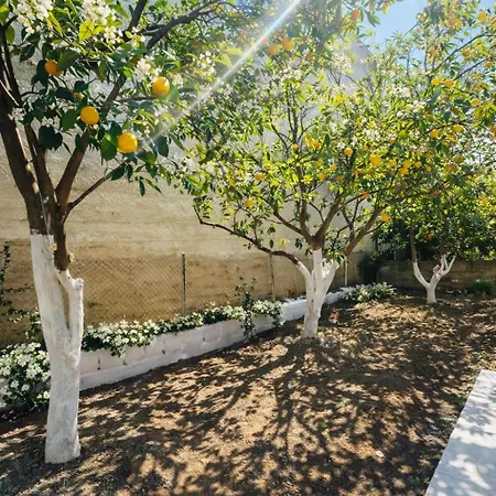 The Citrus Yard In Politika, 2 Bedrooms Apartment